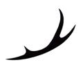 cerfoma